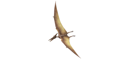 Pterodactyl isolated on a Transparent Background png