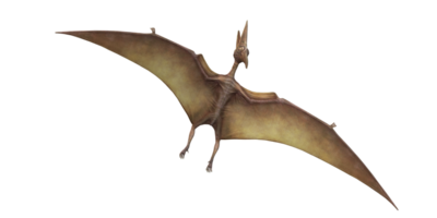 pterodátilo isolado em uma transparente fundo png