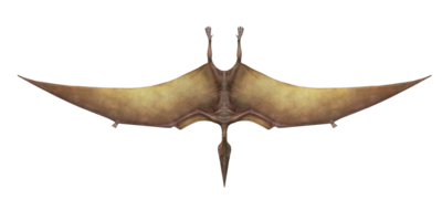 pterodátilo isolado em uma transparente fundo png