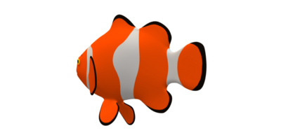 Clown Fish isolated on a Transparent Background png