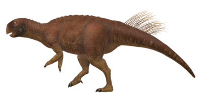Psittacosaurus isolated on a Transparent Background png