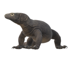 komodo draak geïsoleerd Aan een transparant achtergrond png