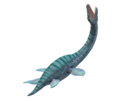 plesiosaurus dinosaurus geïsoleerd Aan een transparant achtergrond png