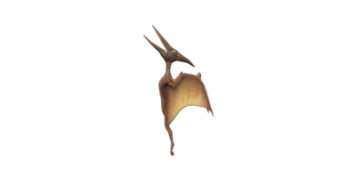 pterodáctilo aislado en un transparente antecedentes png