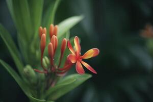 exótico planta en el selva vibrante naranja rojo florecer ai generado foto