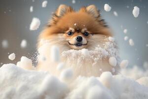 un linda pomeranio perro sentado en un nieve pila en el invierno ai generado foto