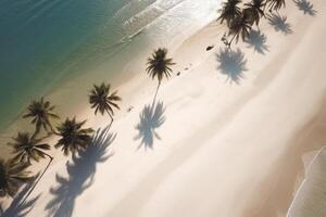 Paradise Found Aerial View of White Sand Beach with Palm Trees and Crystal Blue Waters photo