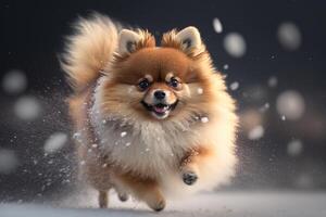 un linda pomeranio perro persiguiendo copos de nieve en el invierno ai generado foto