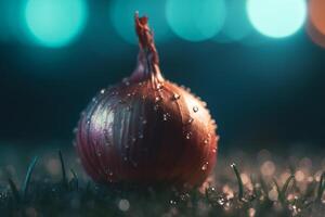 Growing onions indoors using artificial UV light for better yield photo