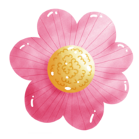 encantador rosado flores png