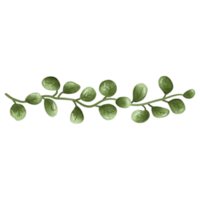 Leaf vine decoration png