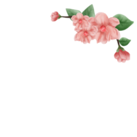 Rosa flor videira decoração png