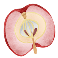 rood appel in wijnoogst illustratie png