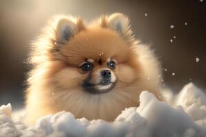 un linda pomeranio perro sentado en un nieve pila en el invierno ai generado foto