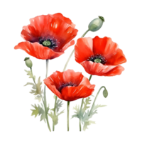 vermelho flores aguarela clipart ai gerado png