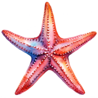 Starfish Watercolor Clipart AI Generated png