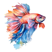 beta pescado acuarela clipart ai generado png