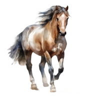 Brown Horse Watercolor Clipart png