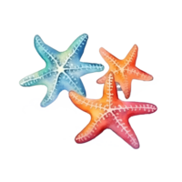 étoile de mer aquarelle clipart ai généré png