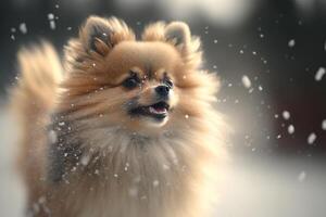 un linda pomeranio perro persiguiendo copos de nieve en el invierno ai generado foto
