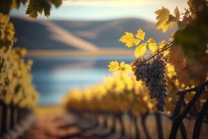 romántico ver desde un viñedo con uvas y vides ai generado foto