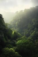 Aerial view of misty rainforest on a sunny day with towering trees photo