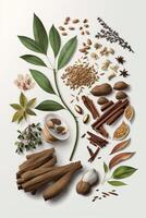 Isolated Chinese Herbs on White Background for Natural Medicine and Wellness photo