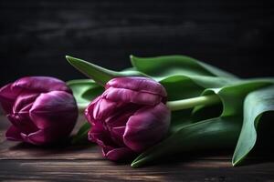 Beautiful Purple Tulips Against Dark Wood Background photo