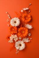 Blossoms in Orange White and Orange Flowers on an Orange Background photo