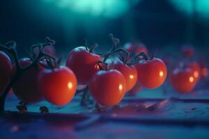 Glowing Tomatoes Cultivation under Artificial UV Light for Optimal Growth and Nutrition photo