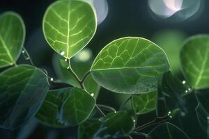 de cerca de translúcido hojas y plantas como un símbolo de fotosíntesis ai generado foto