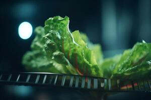 Cultivating Fresh Greens Growing Lettuce Under Artificial UV Light photo