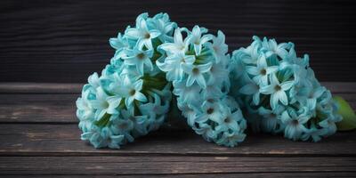 Blue Hyacinths on Dark Wood Background photo