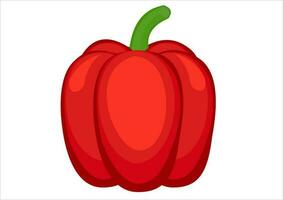 vector illustration of red pepper