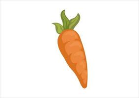 vector illustration of a vegetable named carrot