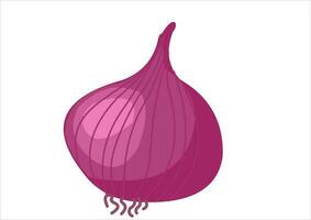 vector illustration of red onion, basic seasoning for cooking