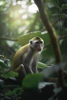 Tiny monkey exploring lush rainforest foliage photo