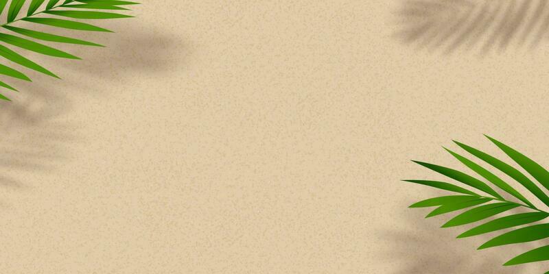 Sand texture background with palm leaves silhouette,Coconut leaf Shadow on Brown Sandy Beach,Vector top view Sand Surface,Backdrop background Wide Horizon Desert dune for Summer Product Presentation