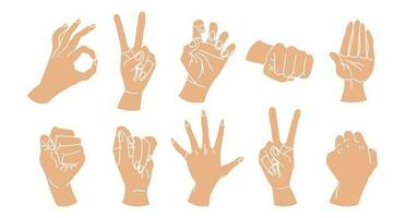 Set of drawn human hands. A set of hands in a collection of various gestures. illustration, vector