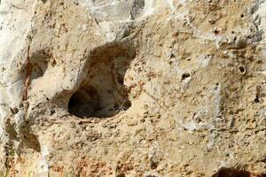 Texture and structure of the stone. Natural nature background. photo