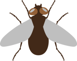 Fly brown for decoration. png