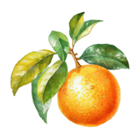 färsk vattenfärg orange frukt. illustration ai generativ png