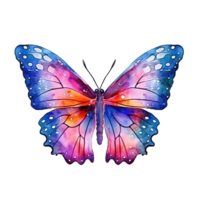 Watercolor butterfly. Illustration png