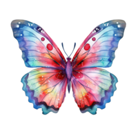 Watercolor butterfly. Illustration png