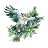 Green watercolor owl. Illustration png