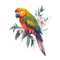 aguarela papagaio clipart, sul americano papagaio com tropical folhas, fofa papagaio arte transparente png