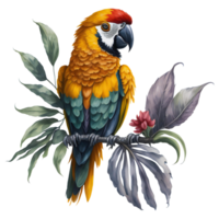 Aquarell Papagei Clip Art, Süd amerikanisch Papagei mit tropisch Blätter, süß Papagei Kunst transparent png