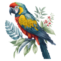waterverf papegaai clip art, zuiden Amerikaans papegaai met tropisch bladeren, schattig papegaai kunst transparant png