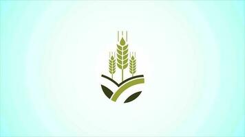 Wheat and field Logo. Agriculture Icon video animation
