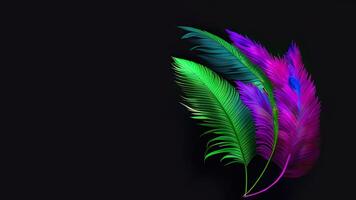 Multicolored Feathers On Black Background And Copy Space. photo
